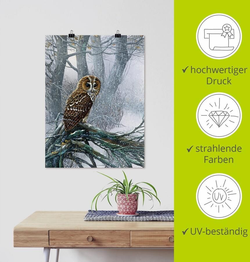 Artland Artprint Uil in ondergesneeuwd bos als artprint op linnen poster in verschillende formaten maten - Foto 4