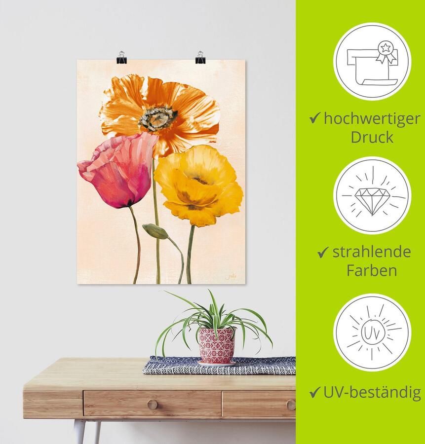 Artland Artprint Veelkleurige klaprozen II als artprint op linnen poster muursticker in verschillende maten - Foto 5