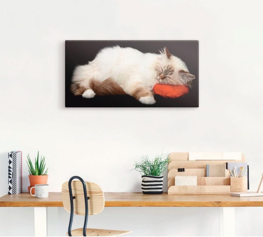 Artland Artprint op linnen Vermoeide kat - Foto 4