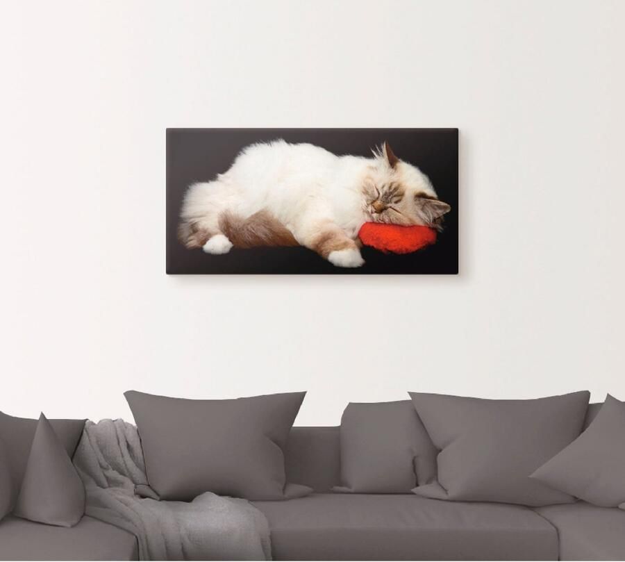 Artland Artprint op linnen Vermoeide kat - Foto 5