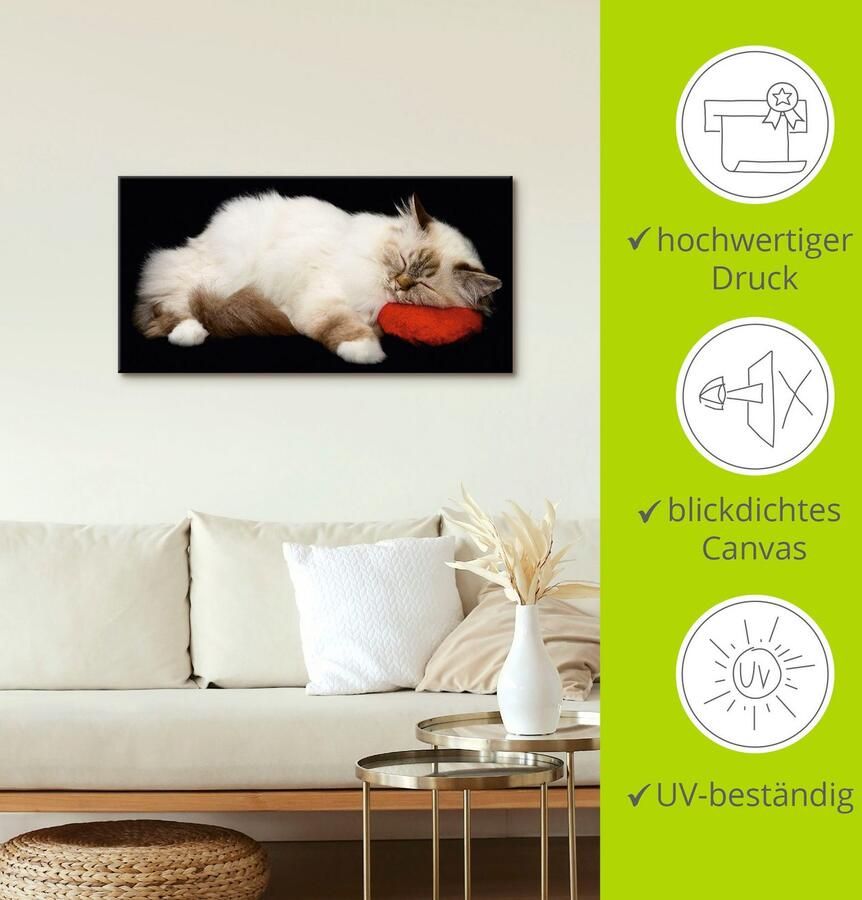 Artland Artprint op linnen Vermoeide kat - Foto 3