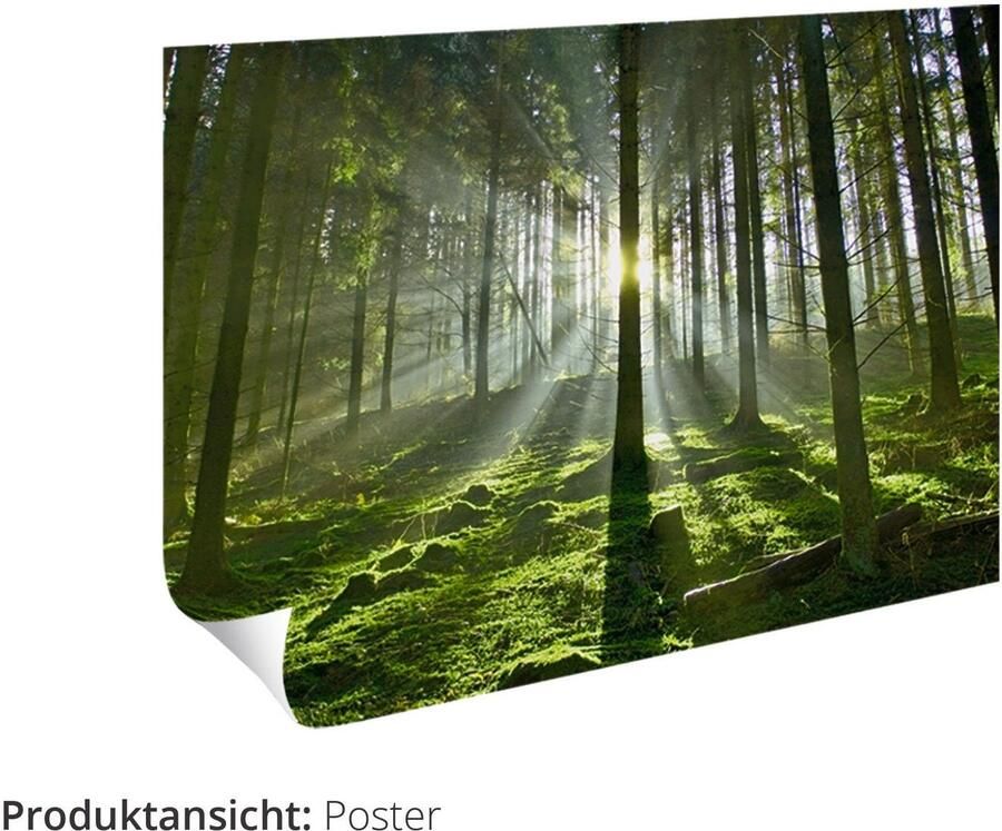 Artland Artprint Meisje in rode jurk voor zonnebloem. als artprint van aluminium artprint op linnen muursticker of poster in verschillende maten - Foto 5