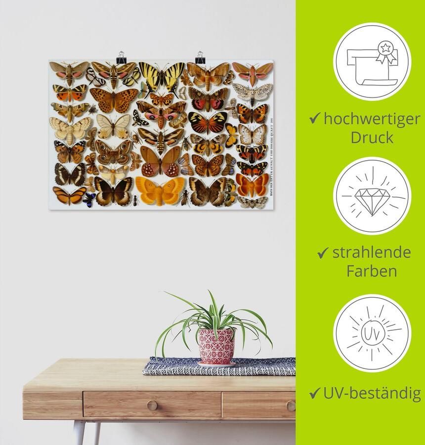 Artland Artprint Vlinders. Porselein beschilderen. 1881 als artprint van aluminium artprint op linnen muursticker of poster in verschillende maten - Foto 3