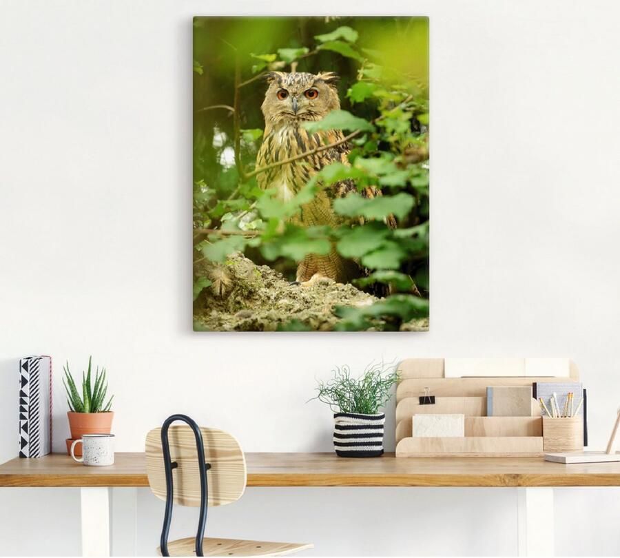 Artland Artprint op linnen Vogel oehoe - Foto 4