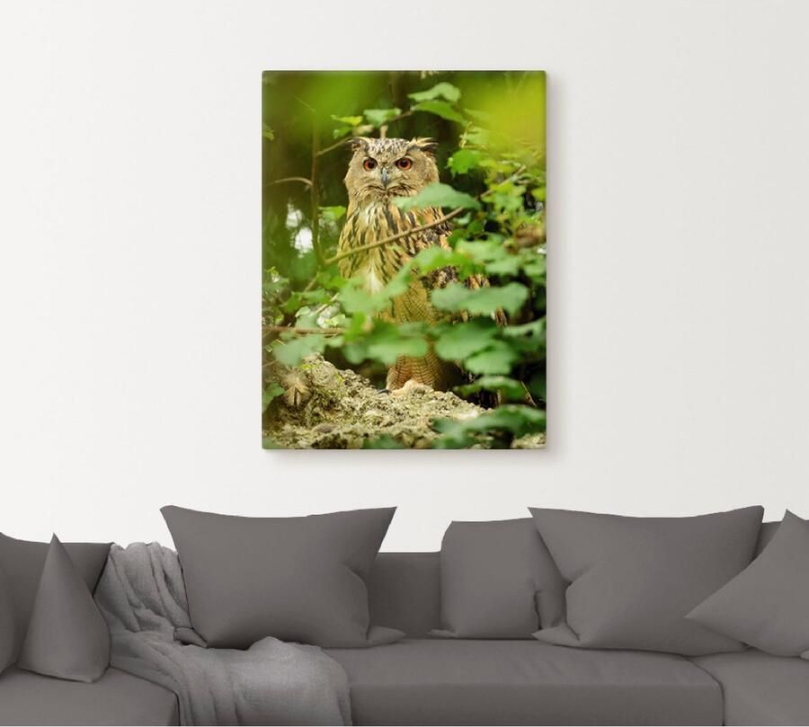Artland Artprint op linnen Vogel oehoe - Foto 5