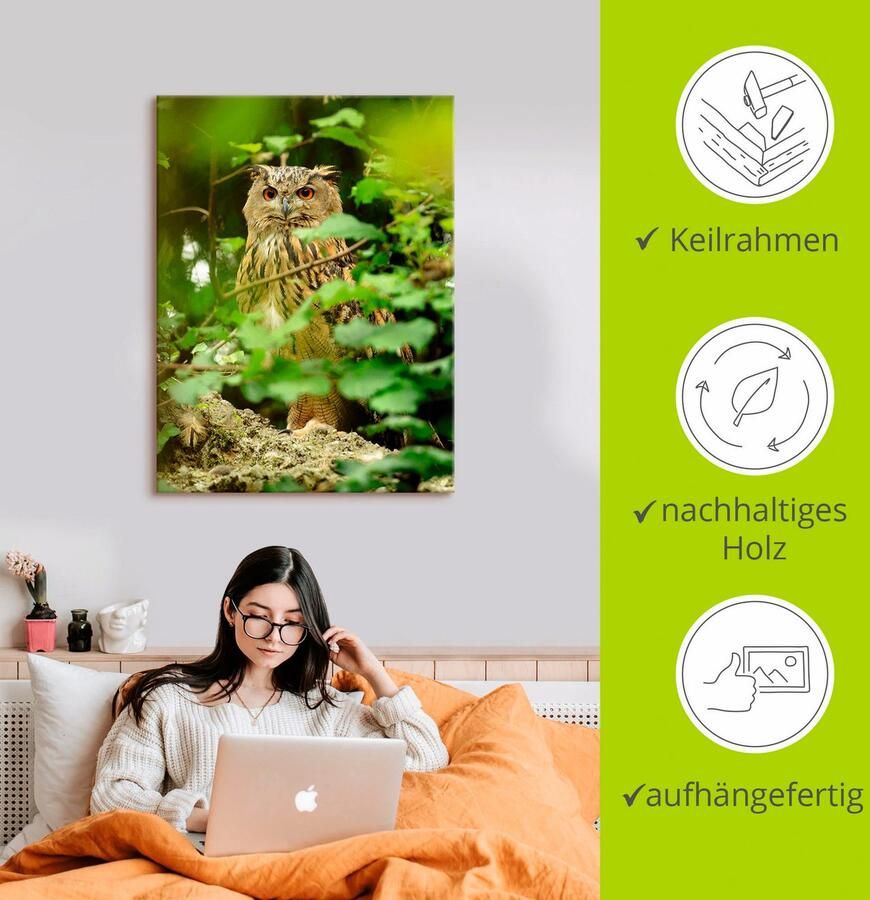 Artland Artprint op linnen Vogel oehoe - Foto 2