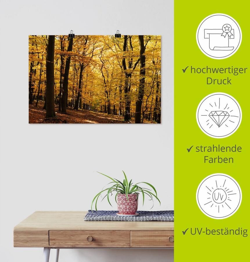 Artland Artprint Wandeling in herfstbos als artprint van aluminium artprint voor buiten artprint op linnen poster in verschillende maten. maten - Foto 2