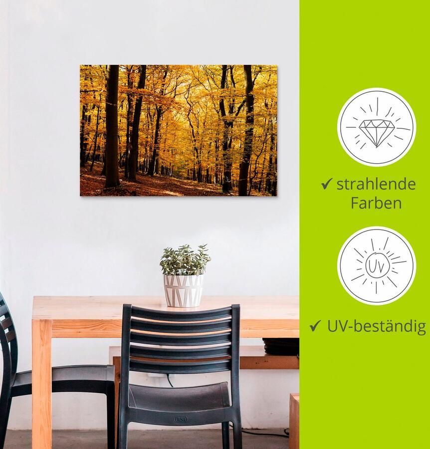 Artland Artprint Wandeling in herfstbos als artprint van aluminium artprint voor buiten artprint op linnen poster in verschillende maten. maten - Foto 2