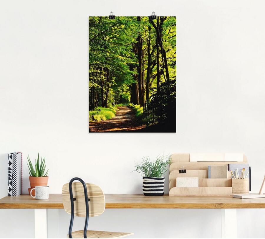 Artland Artprint Weg in het bos als artprint op linnen poster in verschillende formaten maten - Foto 5