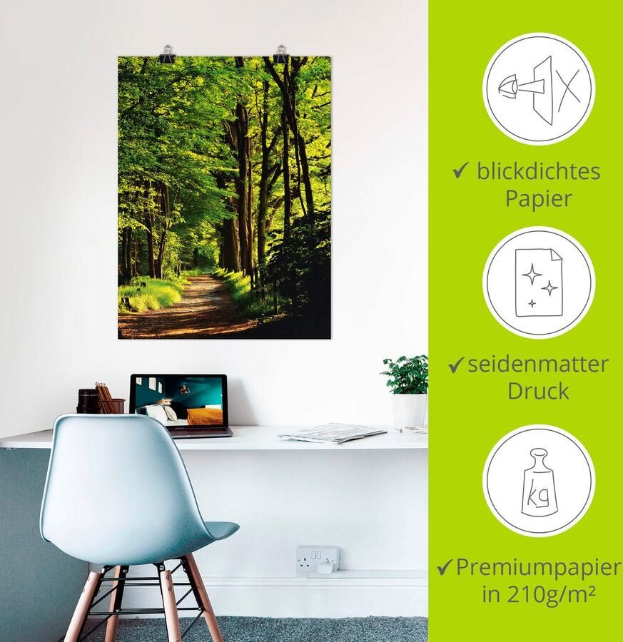 Artland Artprint Weg in het bos als artprint op linnen poster in verschillende formaten maten - Foto 3