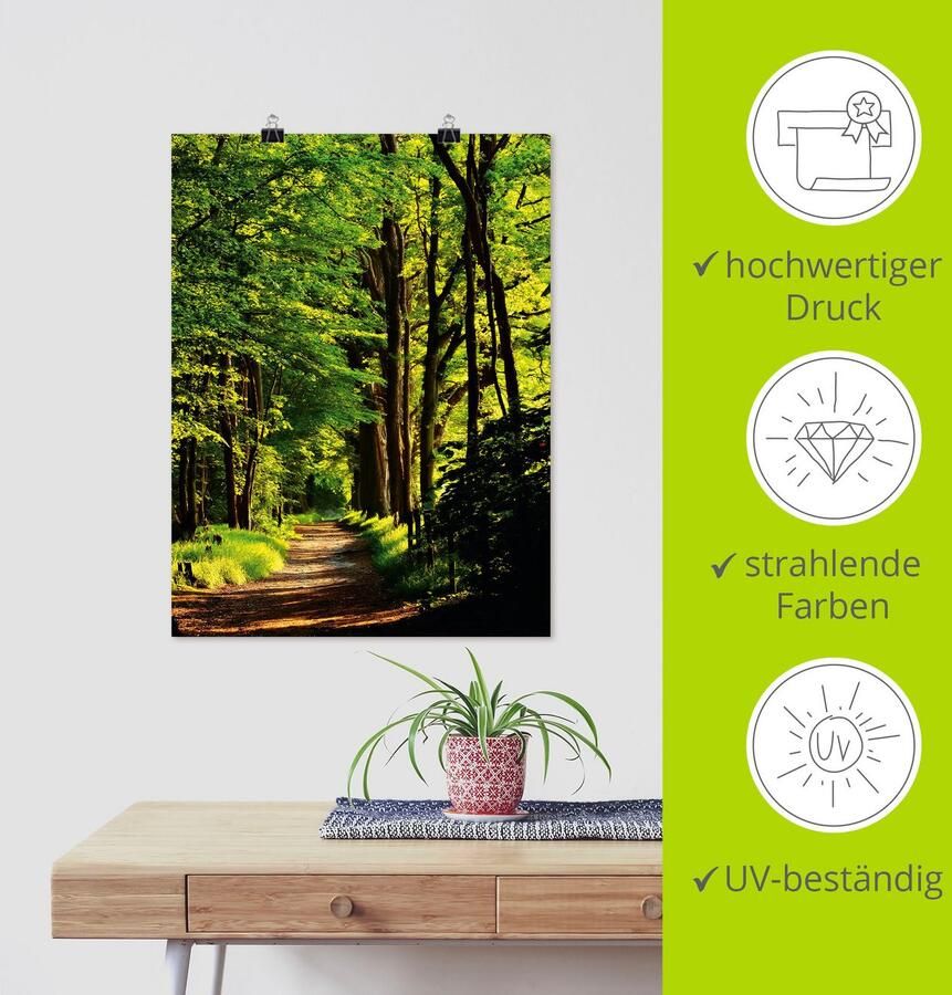 Artland Artprint Weg in het bos als artprint op linnen poster in verschillende formaten maten - Foto 4