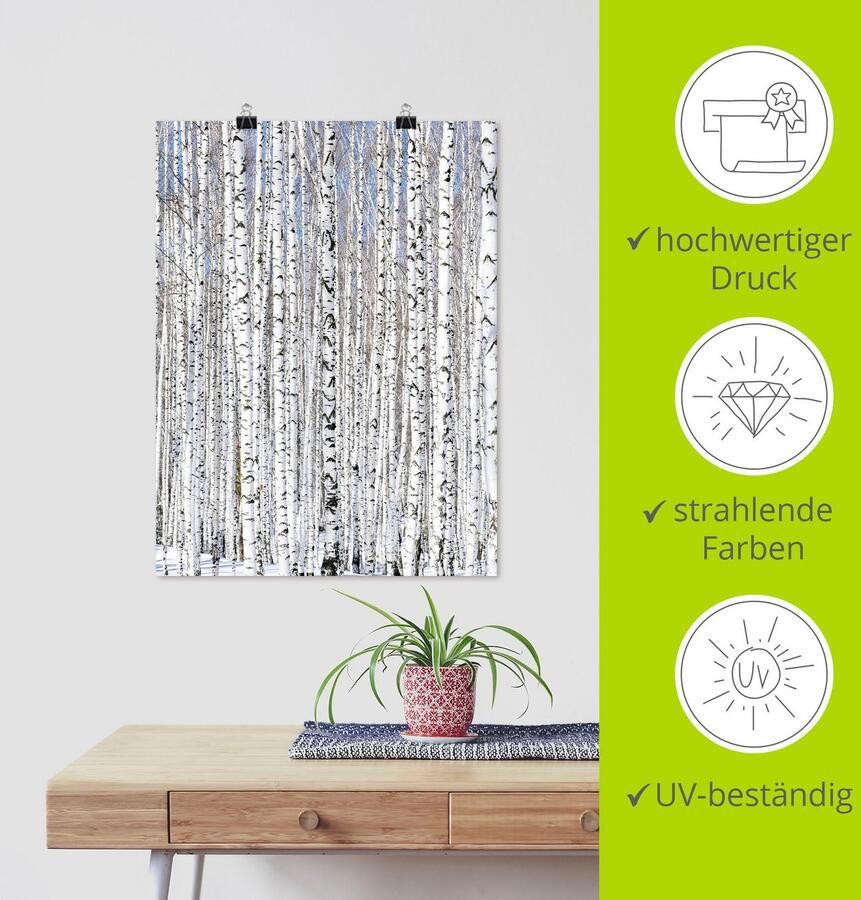 Artland Artprint Winter berkenbos winter sereniteit als artprint op linnen poster in verschillende formaten maten - Foto 4