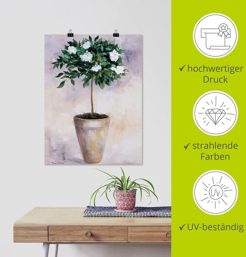 Artland Artprint Winter jasmijn als poster muursticker in verschillende maten - Foto 3