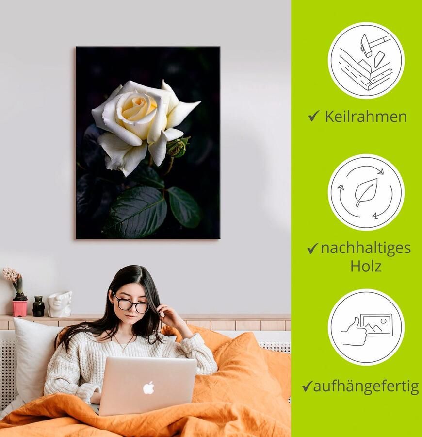 Artland Artprint Wit-gele roos als artprint op linnen poster in verschillende formaten maten