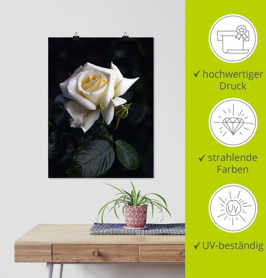 Artland Artprint Wit-gele roos als artprint op linnen poster in verschillende formaten maten - Foto 3