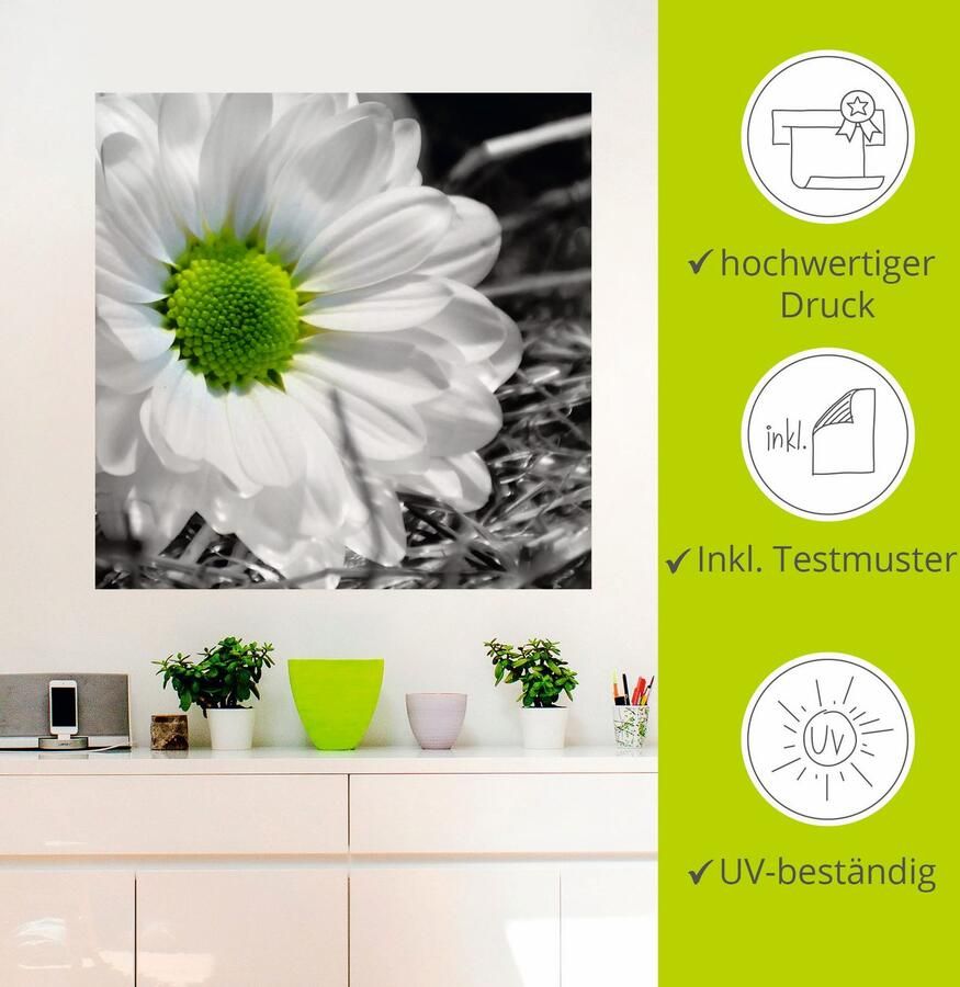 Artland Artprint Witte bloem als artprint op linnen muursticker in verschillende maten - Foto 2