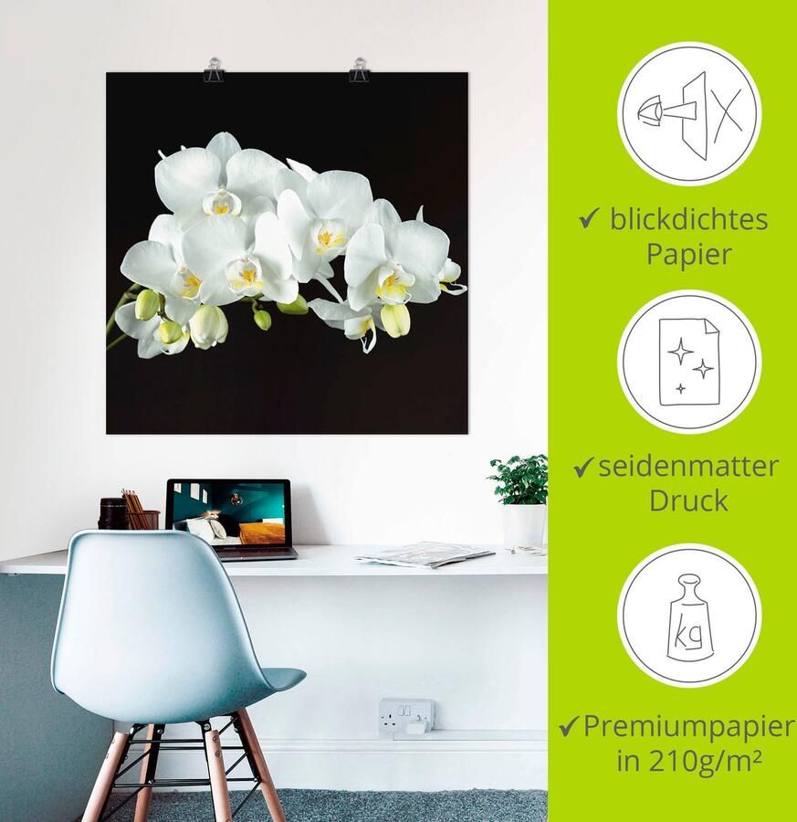 Artland Artprint Witte orchidee op een zwarte achtergrond als artprint op linnen poster muursticker in verschillende maten - Foto 2