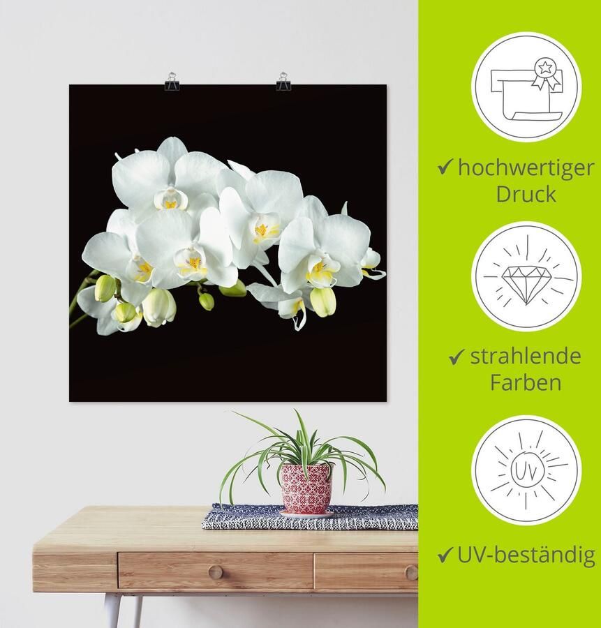 Artland Artprint Witte orchidee op een zwarte achtergrond als artprint op linnen poster muursticker in verschillende maten - Foto 3