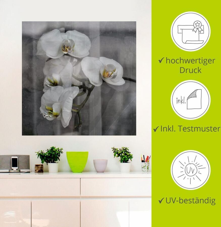 Artland Artprint Witte orchideeën white orchidee als artprint op linnen muursticker in verschillende maten - Foto 2