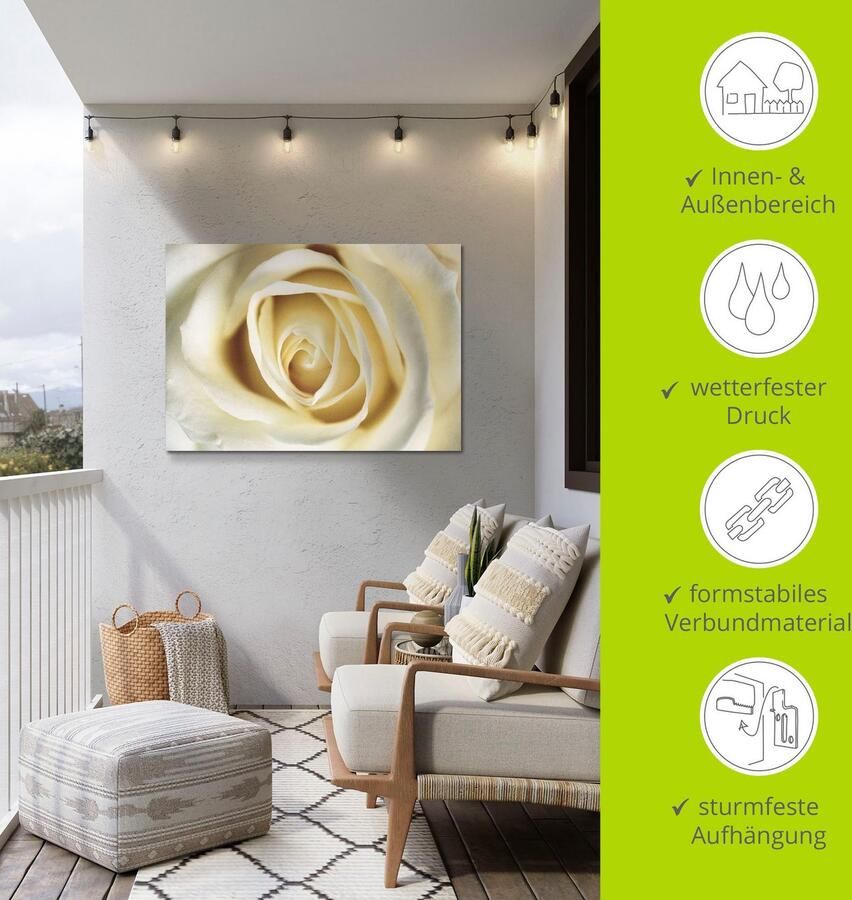 Artland Artprint Witte roos als artprint van aluminium artprint voor buiten artprint op linnen in verschillende maten - Foto 5