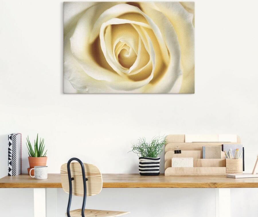 Artland Artprint op linnen Witte roos - Foto 5