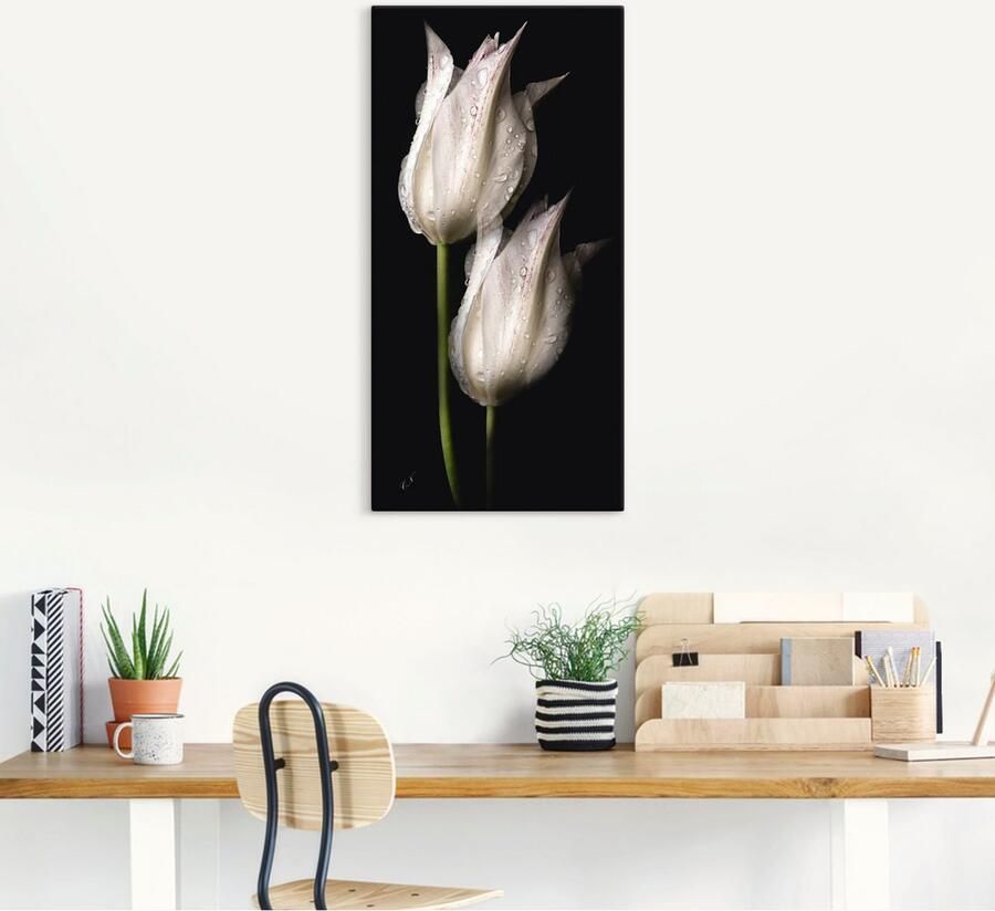 Artland Artprint Witte tulpen in de nacht als artprint van aluminium artprint voor buiten artprint op linnen poster muursticker - Foto 5