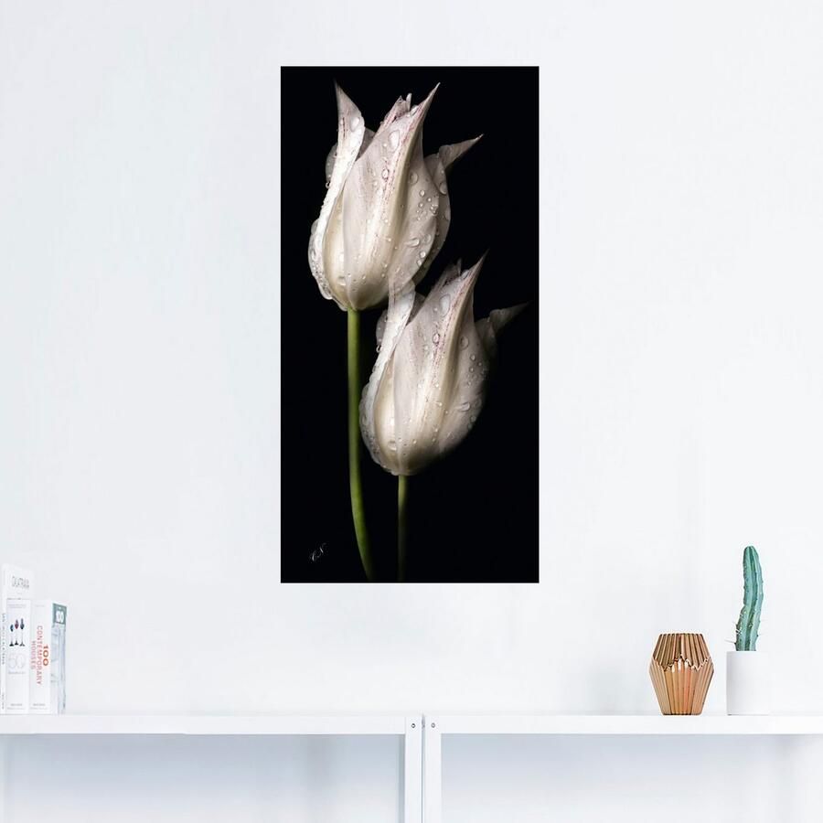 Artland Artprint Witte tulpen in de nacht als artprint van aluminium artprint voor buiten artprint op linnen poster muursticker - Foto 2