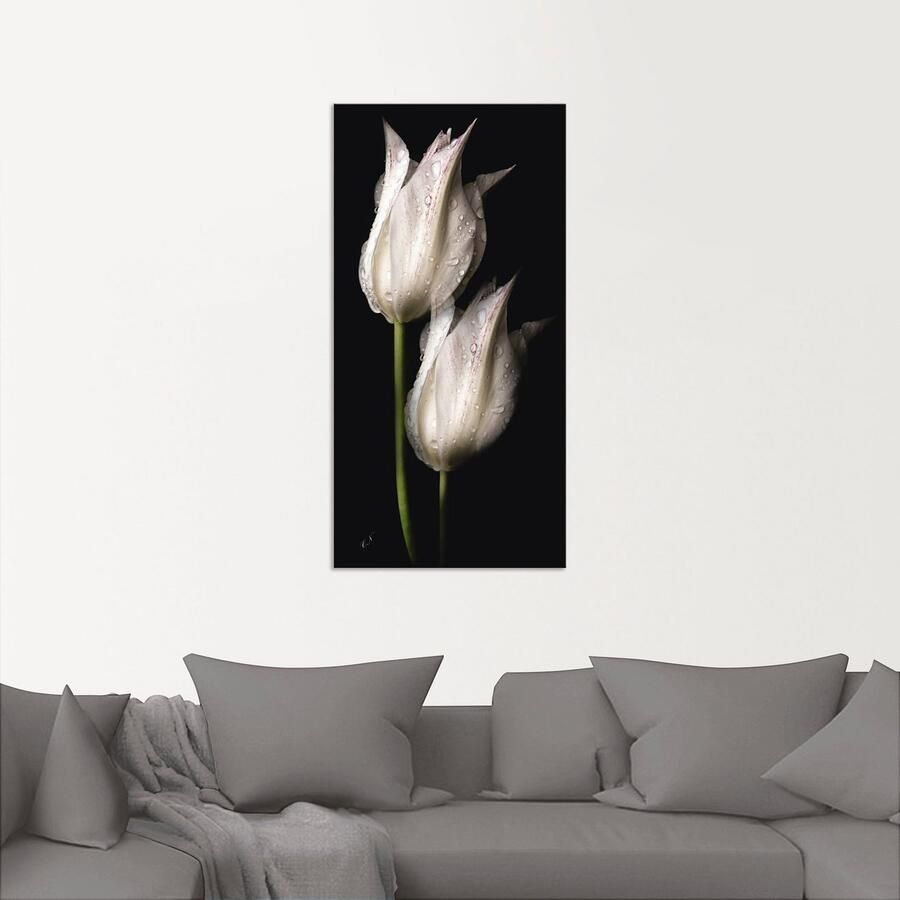 Artland Artprint Witte tulpen in de nacht als artprint van aluminium artprint voor buiten artprint op linnen poster muursticker - Foto 2