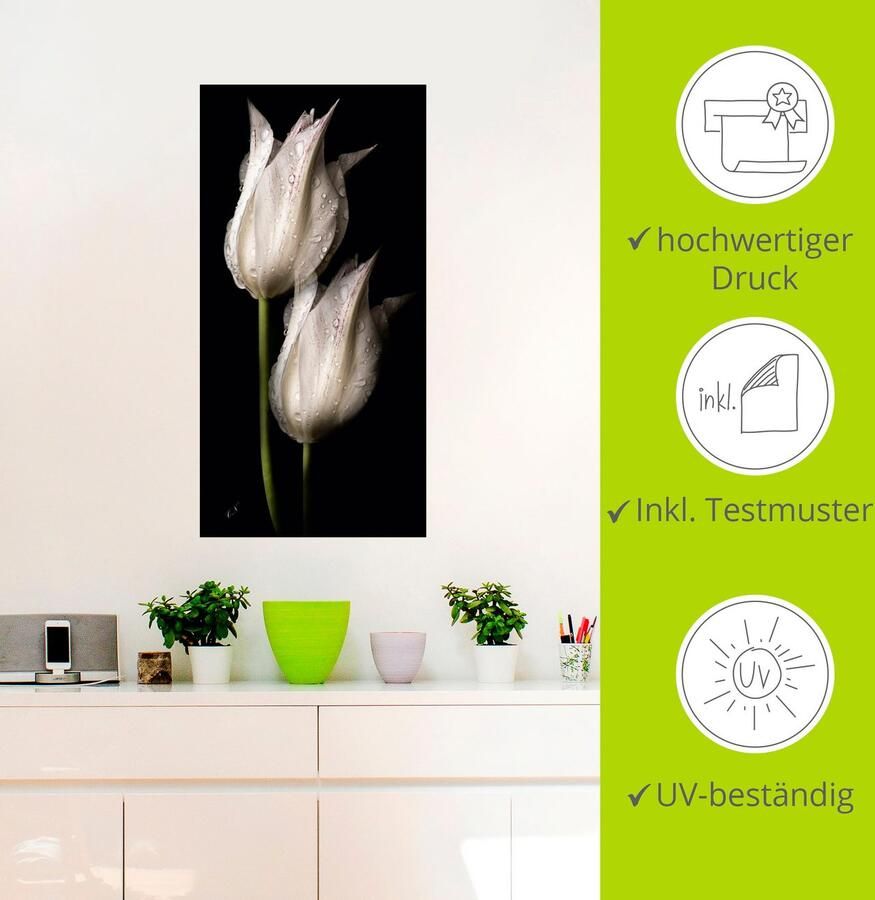 Artland Artprint Witte tulpen in de nacht als artprint van aluminium artprint voor buiten artprint op linnen poster muursticker - Foto 4