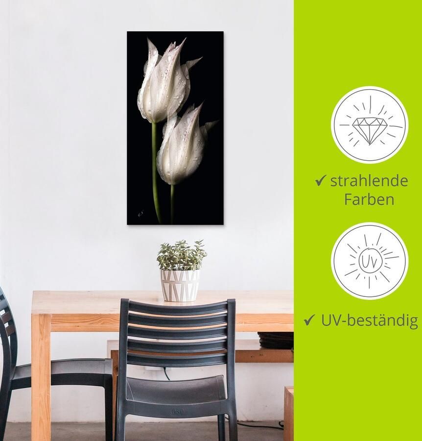Artland Artprint Witte tulpen in de nacht als artprint van aluminium artprint voor buiten artprint op linnen poster muursticker - Foto 4