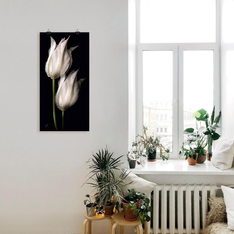 Artland Artprint Witte tulpen in de nacht