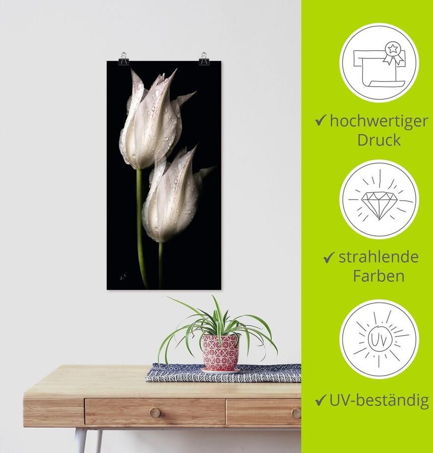 Artland Artprint Witte tulpen in de nacht als artprint van aluminium artprint voor buiten artprint op linnen poster muursticker - Foto 3
