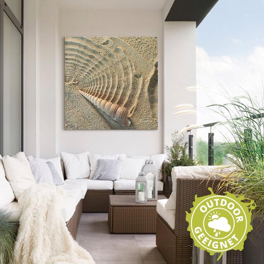 Artland Artprint Zen IV schelp in het zand als artprint van aluminium artprint voor buiten artprint op linnen in verschillende maten - Foto 2
