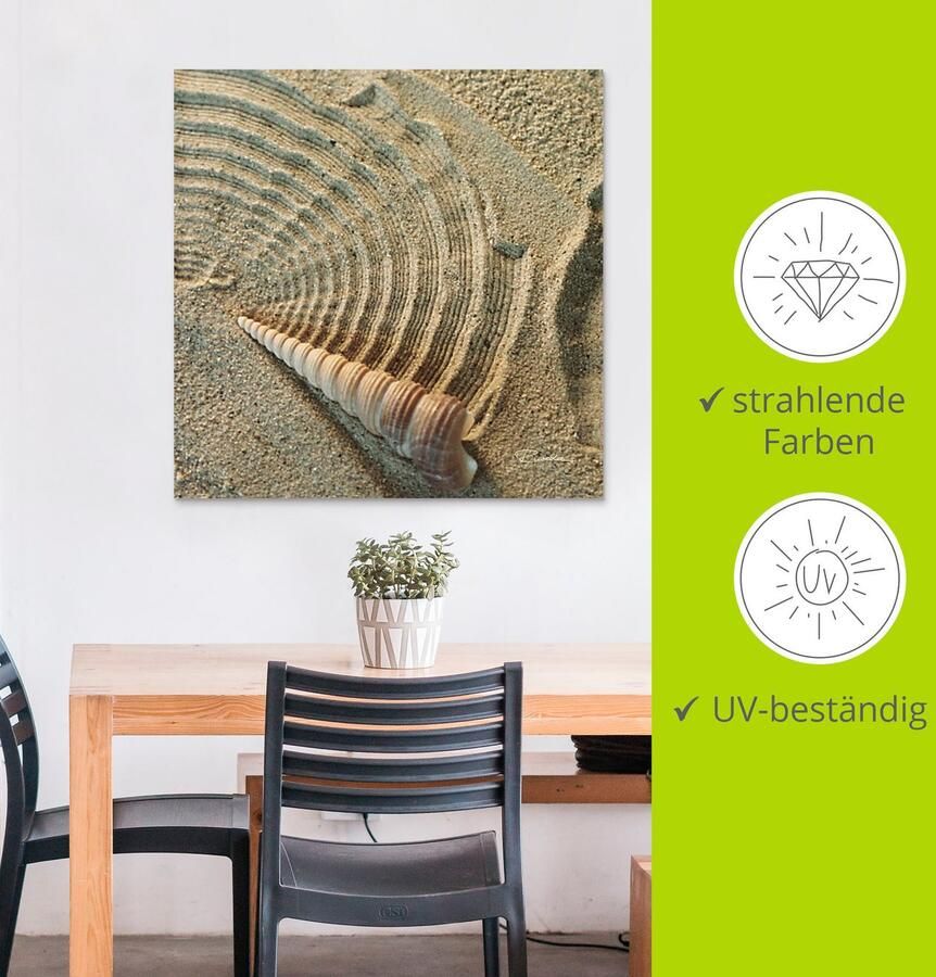 Artland Artprint Zen IV schelp in het zand als artprint van aluminium artprint voor buiten artprint op linnen in verschillende maten - Foto 3