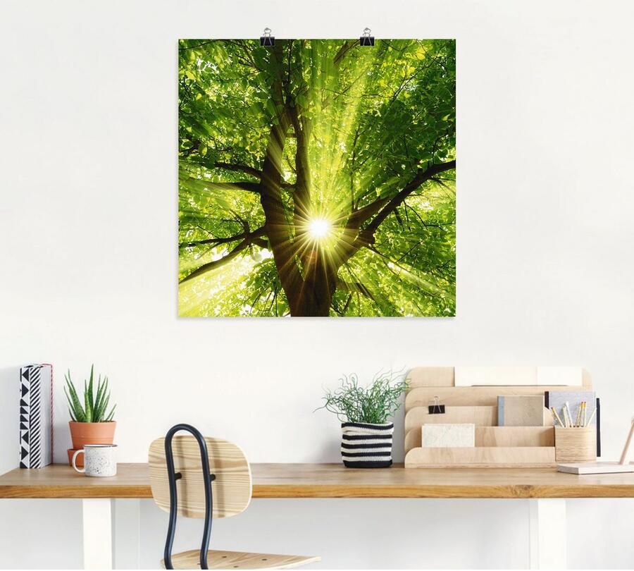 Artland Artprint Zon straalt explosief door de boom als artprint op linnen poster muursticker in verschillende maten - Foto 4