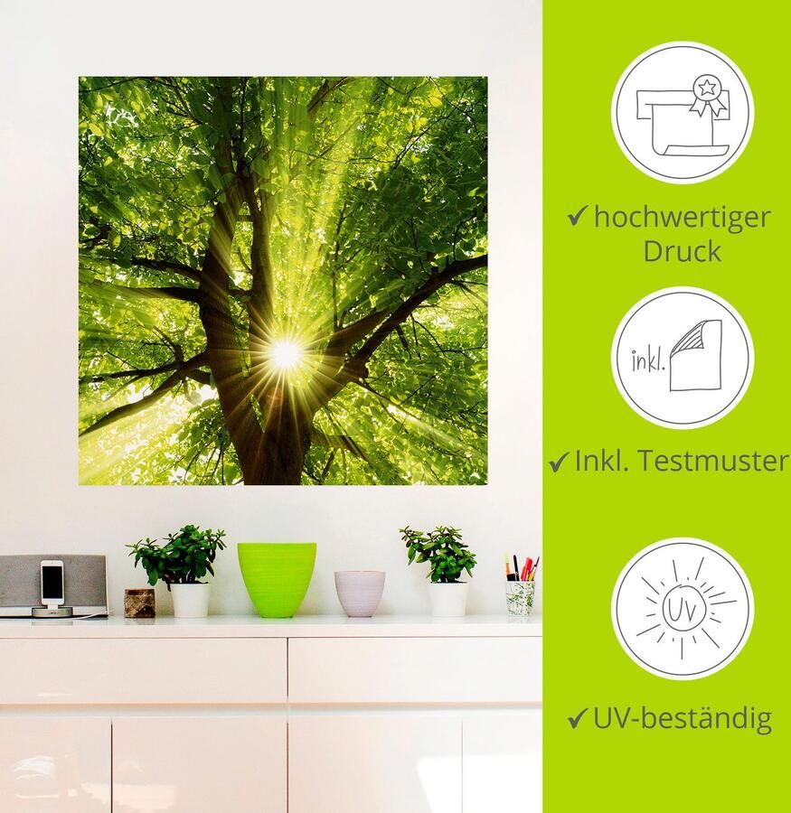 Artland Artprint Zon straalt explosief door de boom als artprint op linnen poster muursticker in verschillende maten - Foto 3