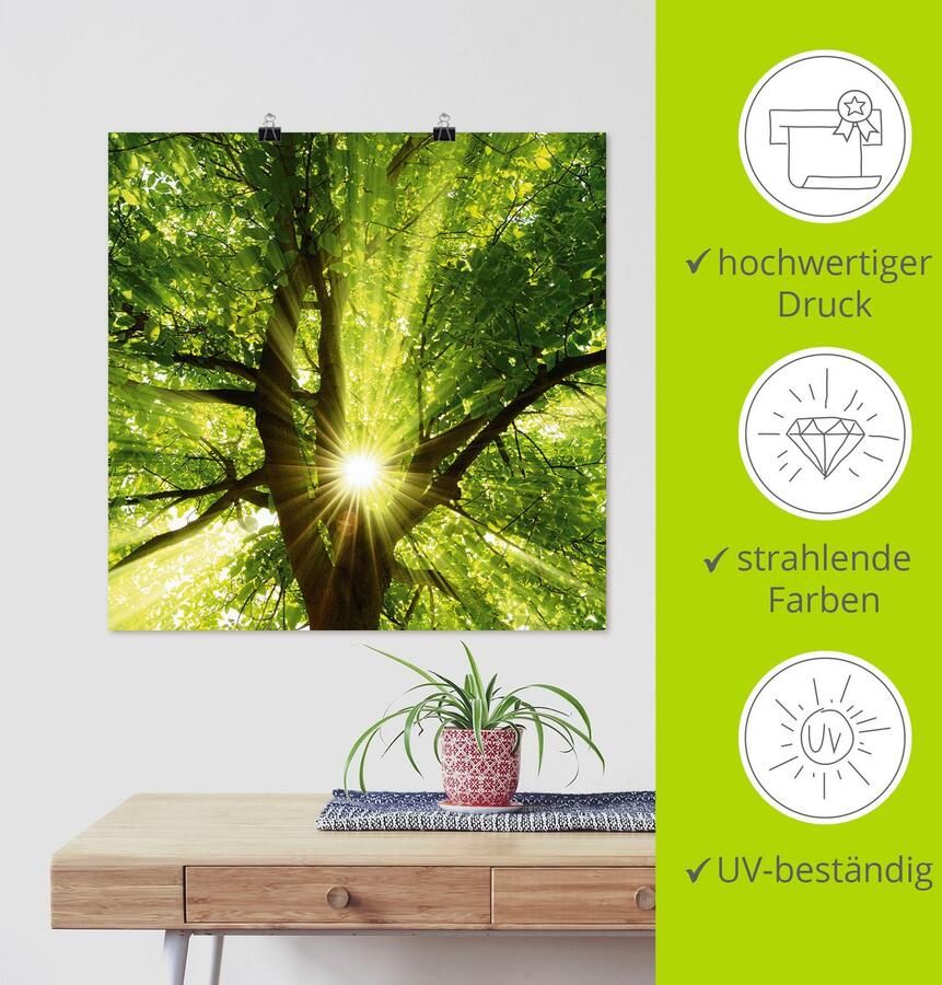 Artland Artprint Zon straalt explosief door de boom als artprint op linnen poster muursticker in verschillende maten - Foto 3