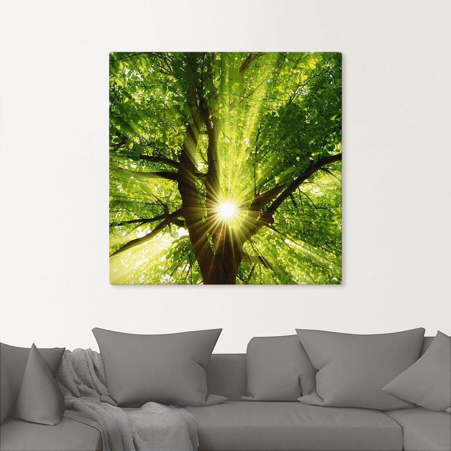 Artland Artprint Zon straalt explosief door de boom als artprint op linnen poster muursticker in verschillende maten - Foto 2