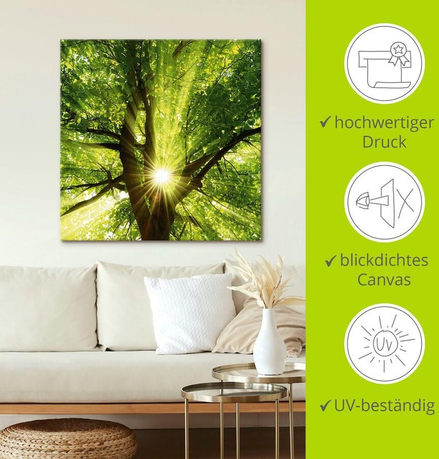 Artland Artprint Zon straalt explosief door de boom als artprint op linnen poster muursticker in verschillende maten - Foto 4
