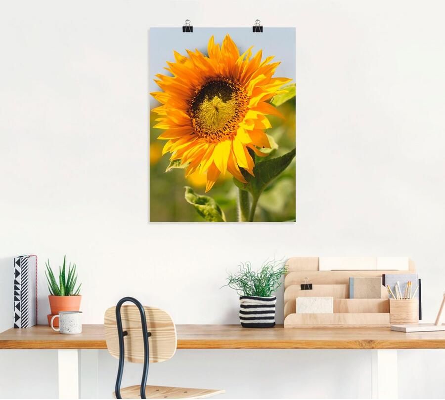 Artland Artprint Zonnebloem als artprint op linnen poster muursticker in verschillende maten - Foto 4