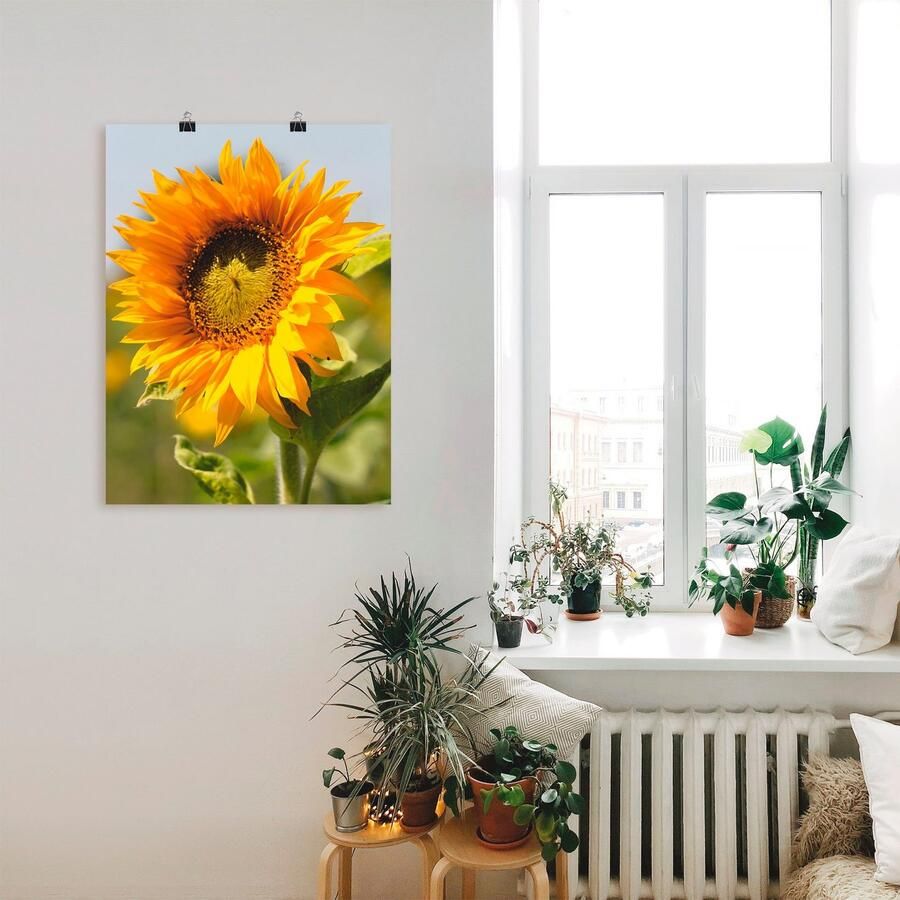 Artland Artprint Zonnebloem als artprint op linnen poster muursticker in verschillende maten
