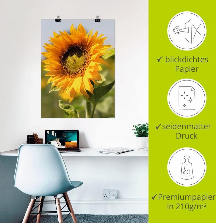 Artland Artprint Zonnebloem als artprint op linnen poster muursticker in verschillende maten - Foto 2
