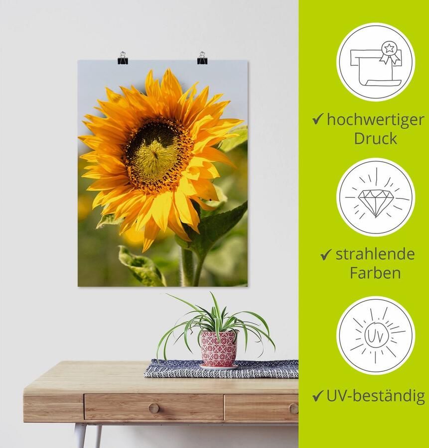 Artland Artprint Zonnebloem als artprint op linnen poster muursticker in verschillende maten - Foto 3