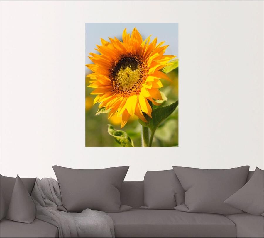 Artland Artprint Zonnebloem als artprint op linnen poster muursticker in verschillende maten - Foto 4