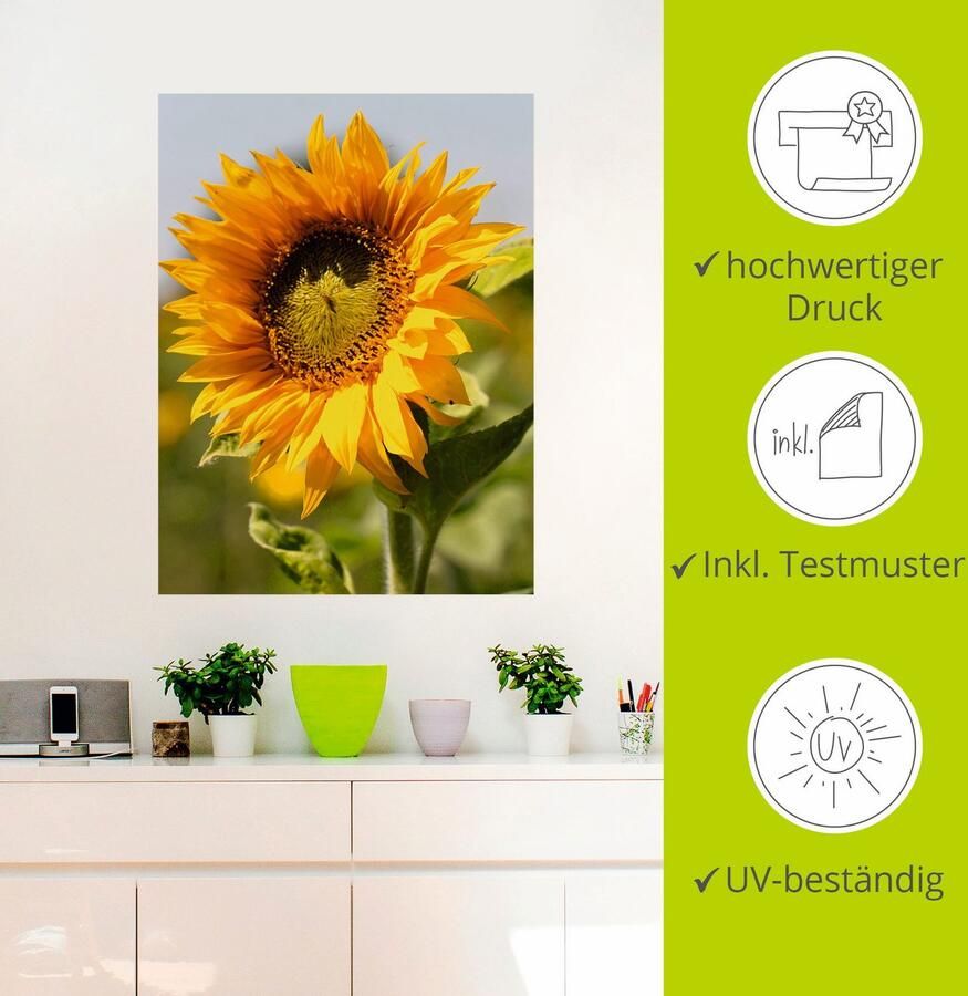 Artland Artprint Zonnebloem als artprint op linnen poster muursticker in verschillende maten - Foto 2