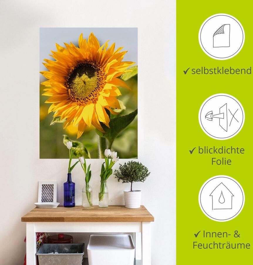 Artland Artprint Zonnebloem als artprint op linnen poster muursticker in verschillende maten - Foto 3