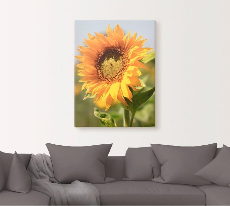 Artland Artprint Zonnebloem als artprint op linnen poster muursticker in verschillende maten - Foto 4