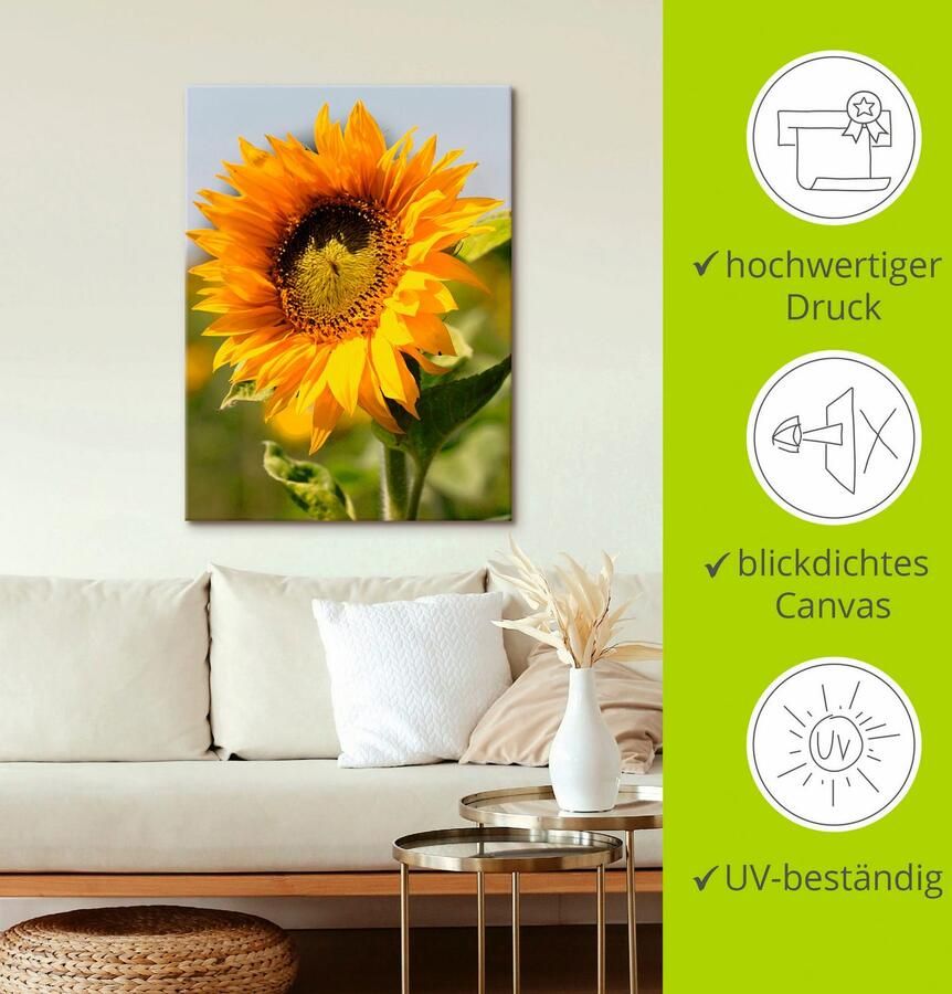 Artland Artprint Zonnebloem als artprint op linnen poster muursticker in verschillende maten - Foto 2