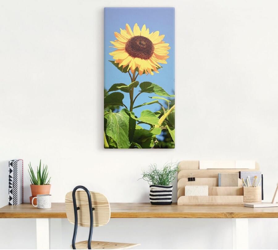 Artland Artprint Zonnebloem als artprint van aluminium artprint voor buiten artprint op linnen poster in verschillende maten. maten - Foto 5