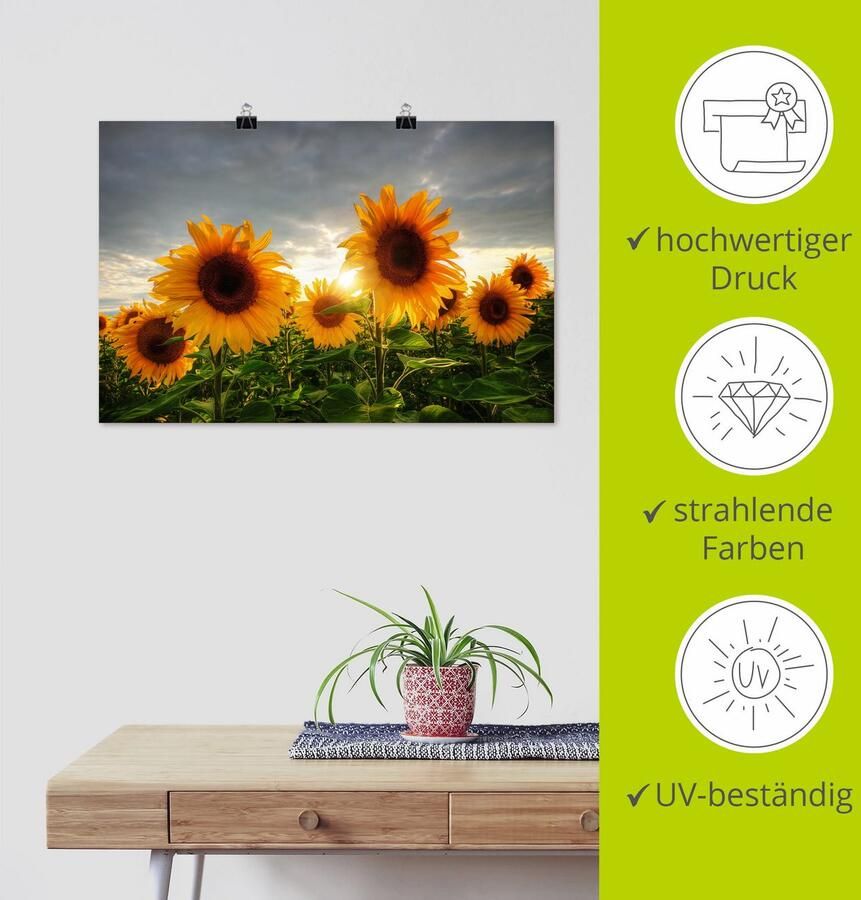Artland Artprint Zonnebloemen II als artprint op linnen poster in verschillende formaten maten - Foto 3